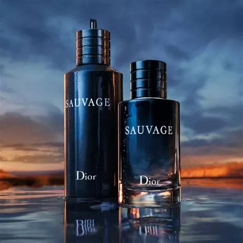 profumo simile a dior sauvage|best alternative to Dior Sauvage.